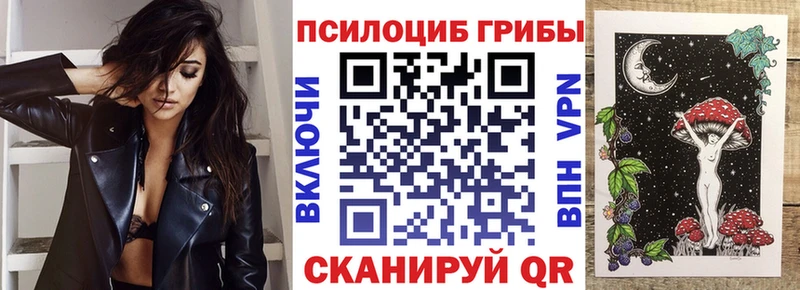 Купить где  Любим  Галлюциногенные грибы Psilocybine cubensis 