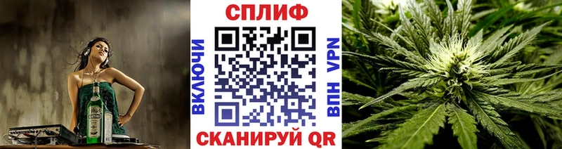 Купить  Любим  Канабис гибрид 